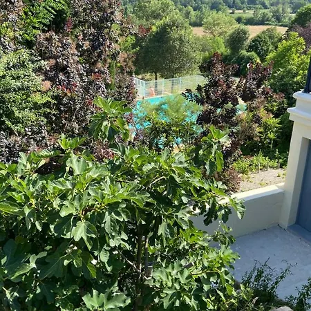 Mazet 43 * Saint-Martin-de-Brômes